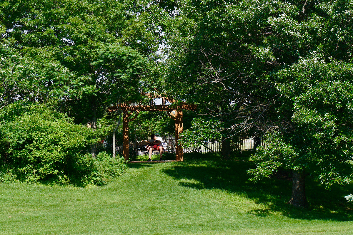 Roy & Mary Amos Smith Hardwood Forest with tall green trees and a wood pergola