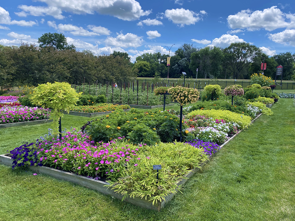 Trial and Display Garden with raised garden beds filled with bright plants and flowers and raised planters