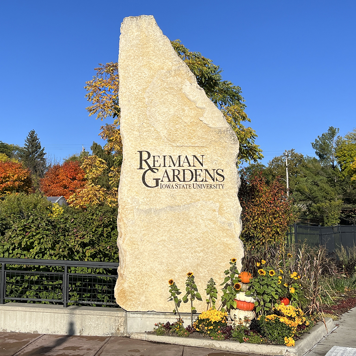  Front Entrance fall color Reiman rock