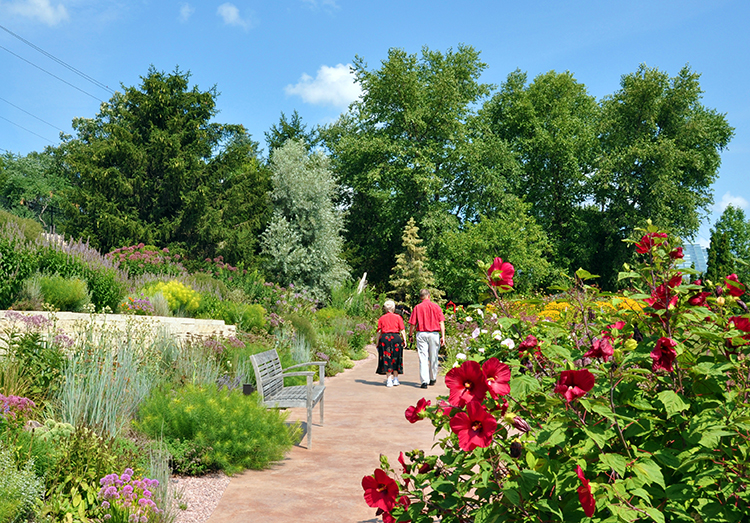  Hillside Garden with hybiscus in bloom and people walking