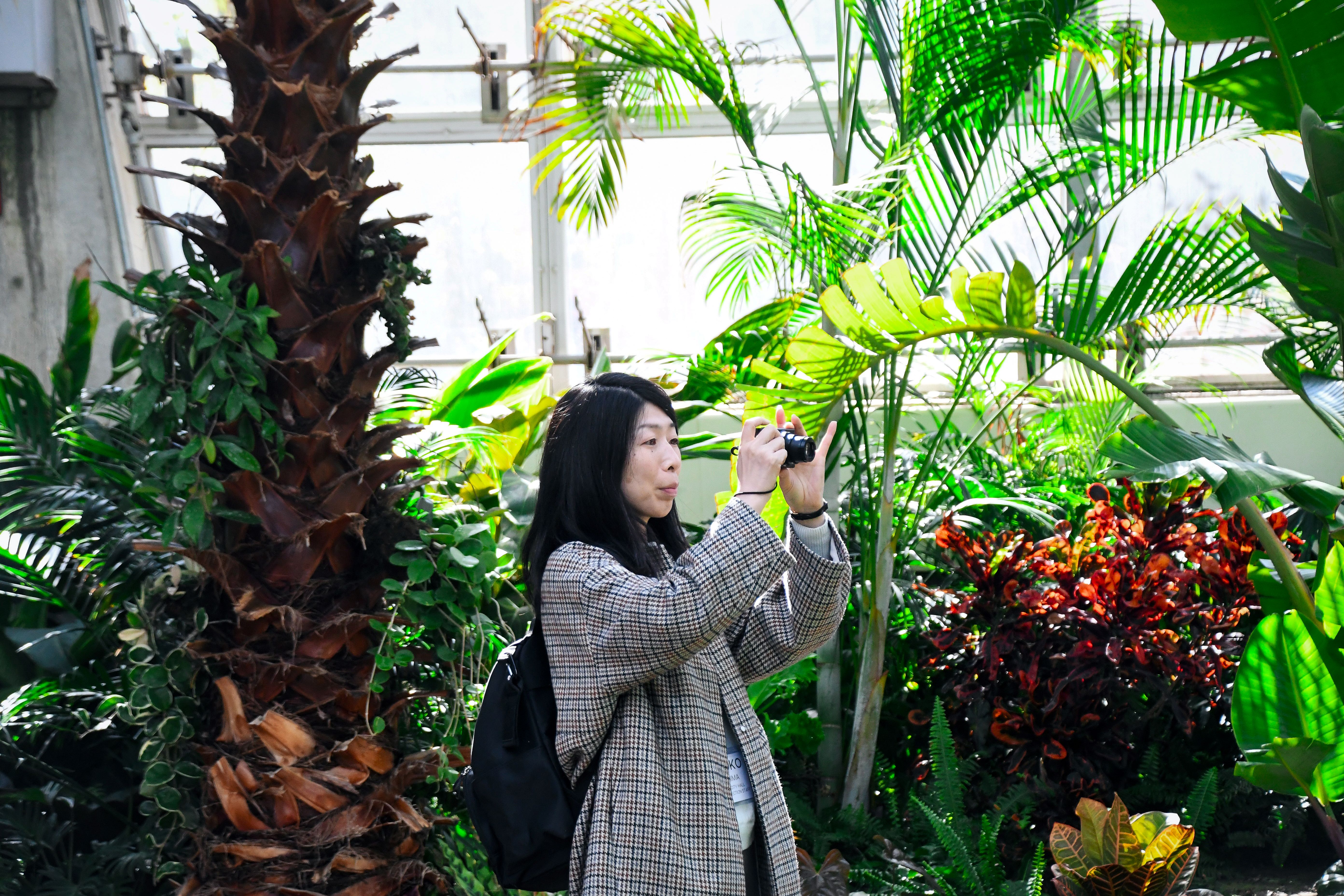 Japanese photographer at Reiman Gardens