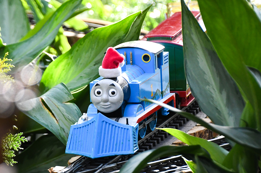 Thomas the Tank Engine in a garden