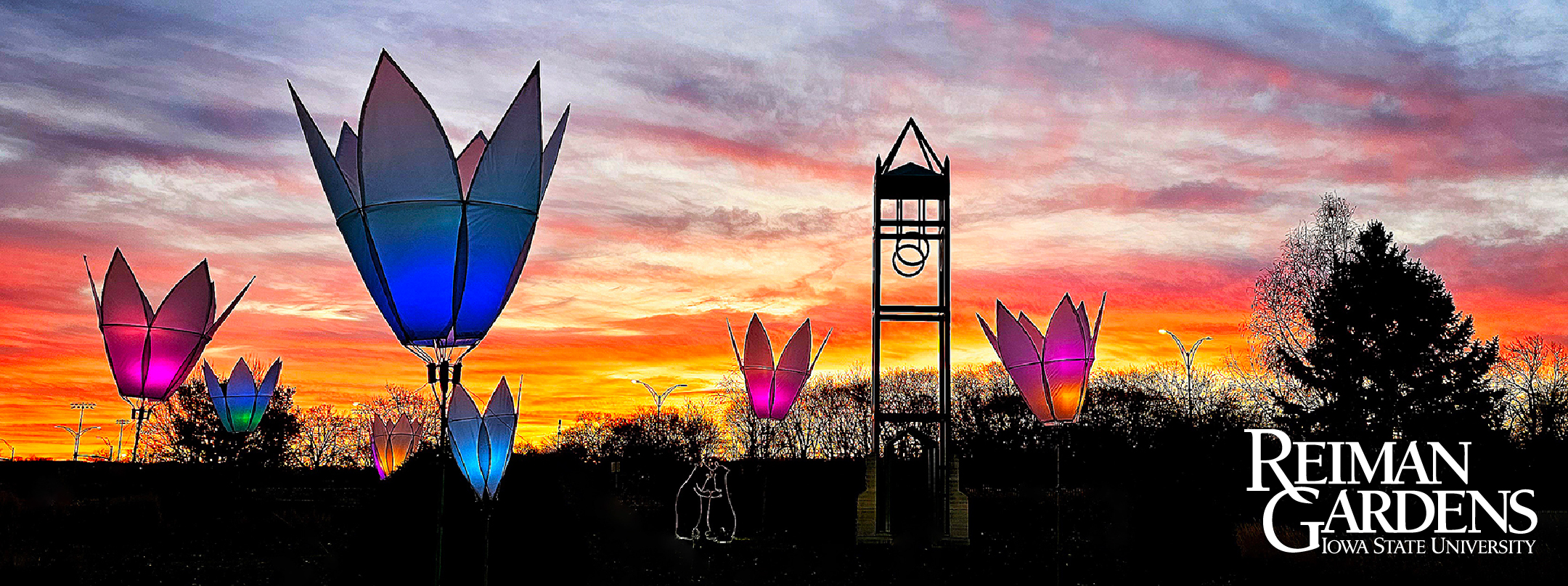 Color lighted giant flowers at sunset