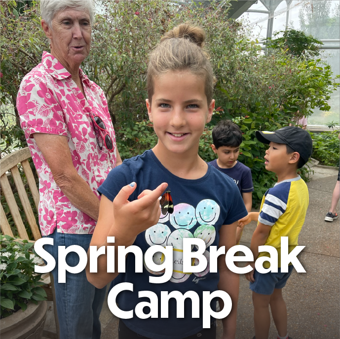 Spring Break Camp