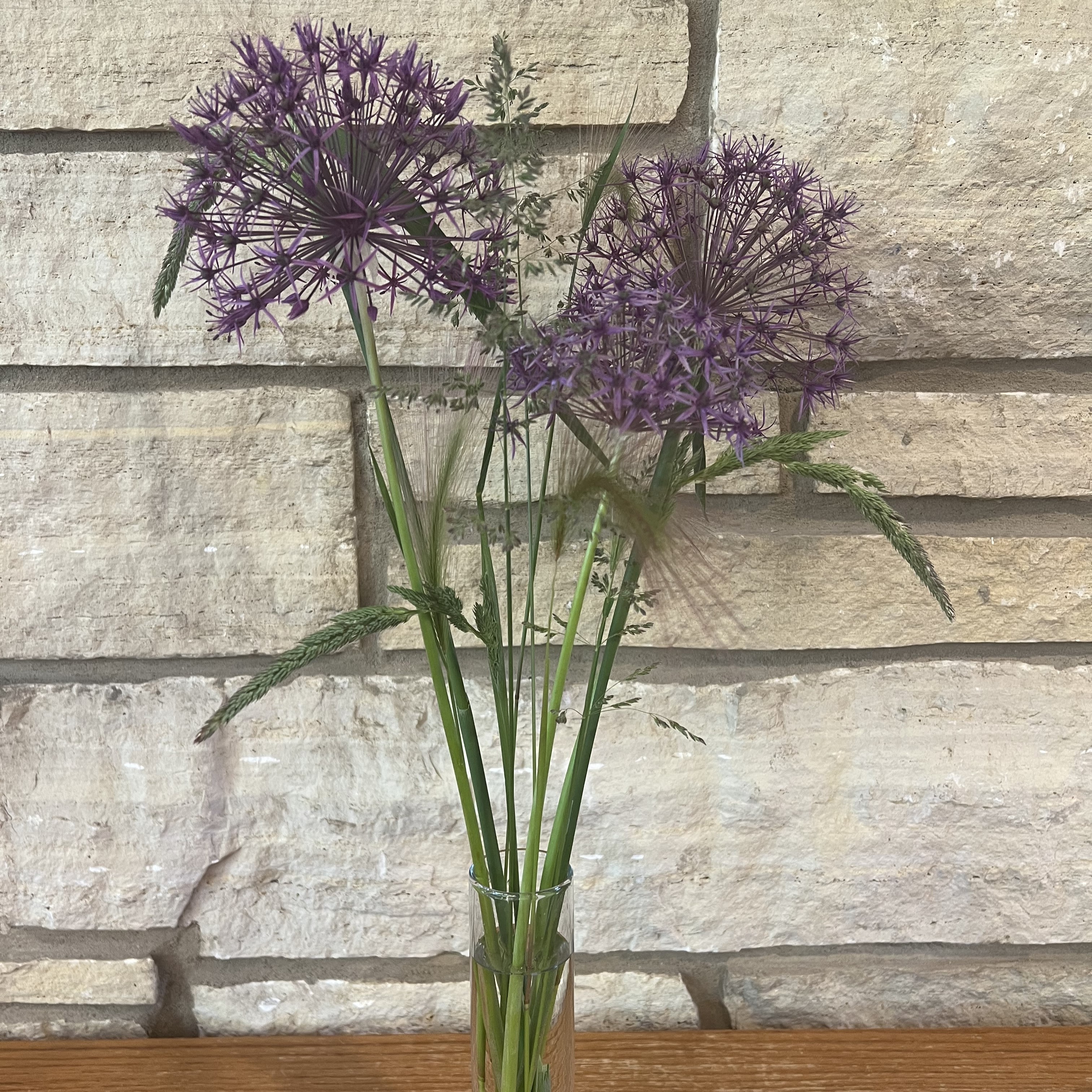 An arrangement of various textured native grasses and ornamental alliums