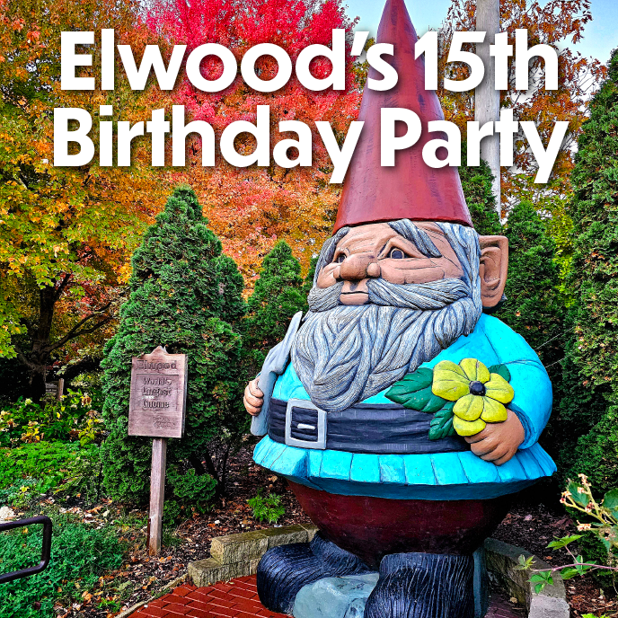 Elwood's 15th Birthday Party