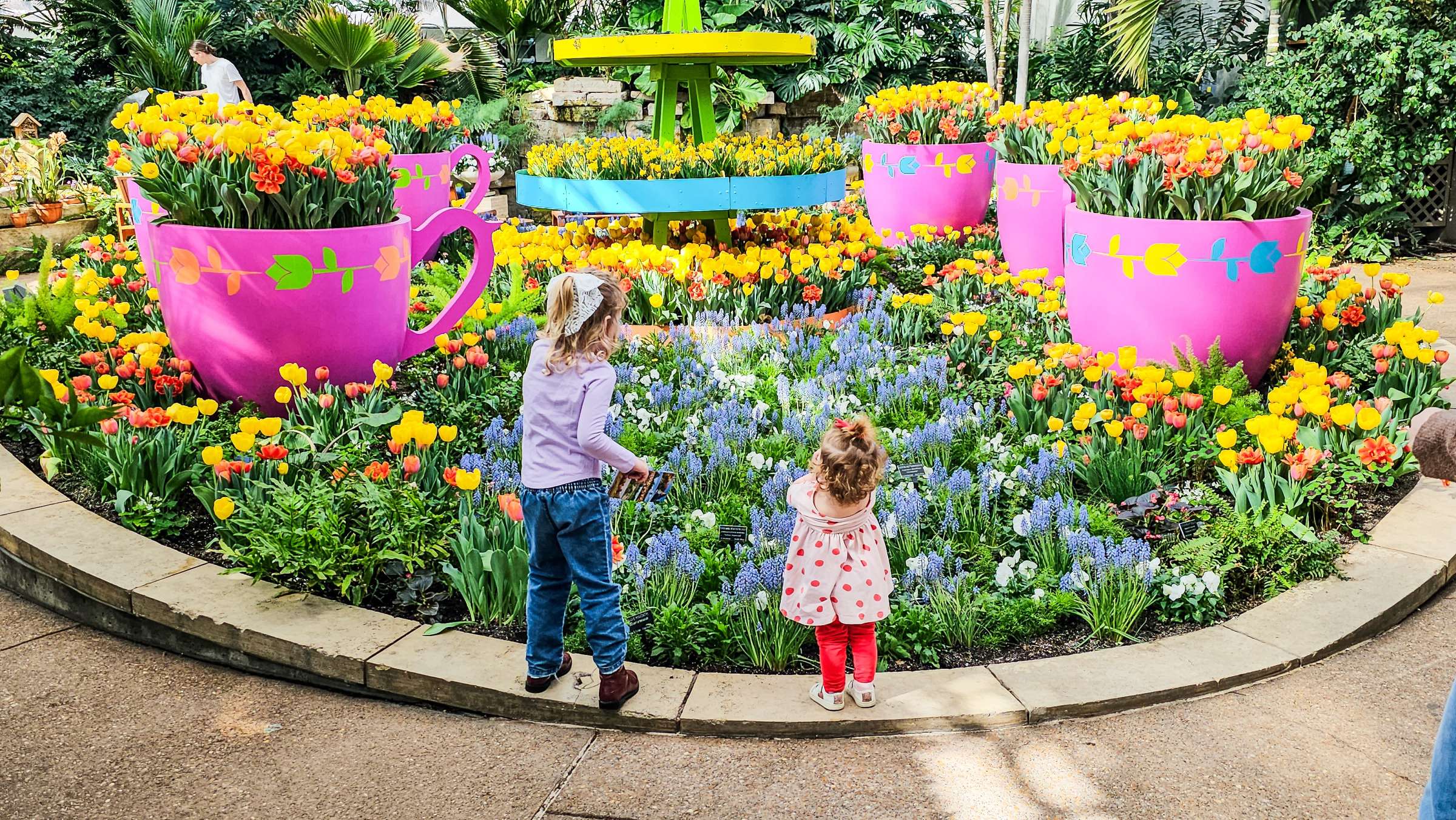 Teacups and tulips display at Reiman Gardens
