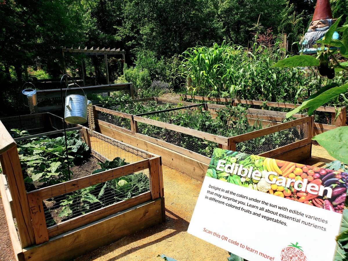 Edible Garden