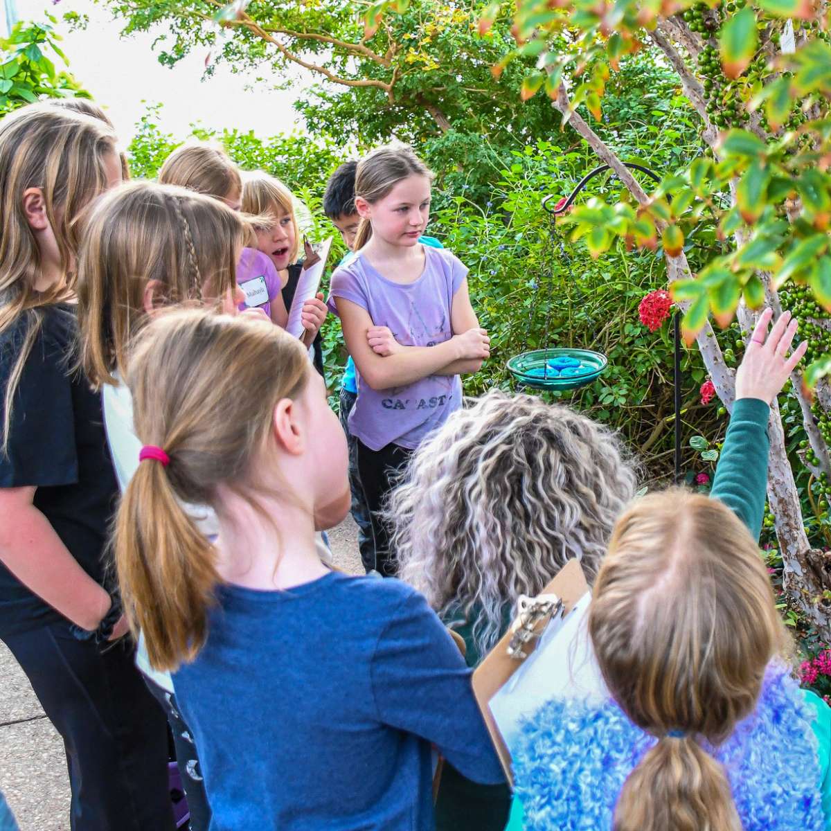 Children in a butterfly garden