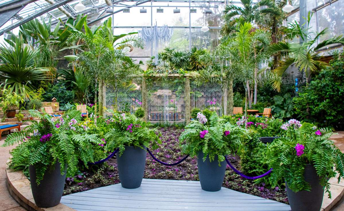 Summer Garden Gala at Reiman Gardens