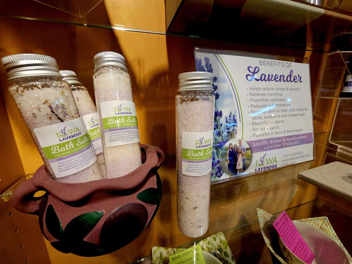 Lavender for sale at Reiman Gardens