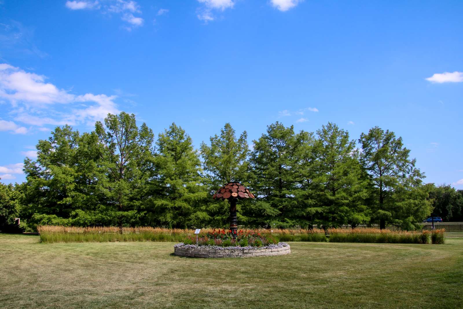 South field against a bright blue sky