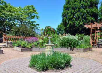 View from inside the Herb Garden.