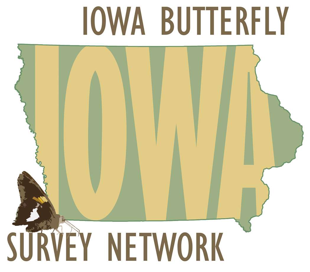  Iowa Butterfly Survey Network logo