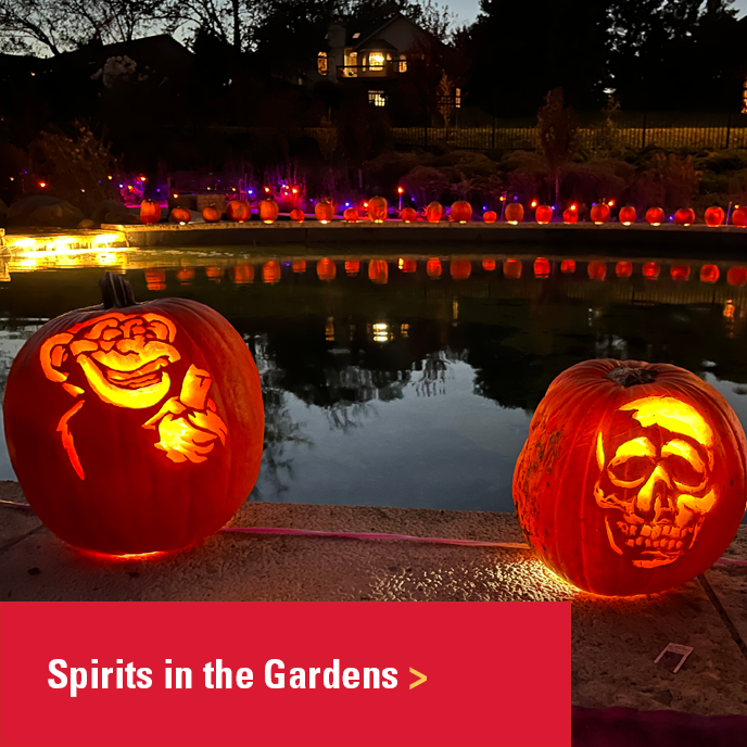 Spirits in the Gardens image button