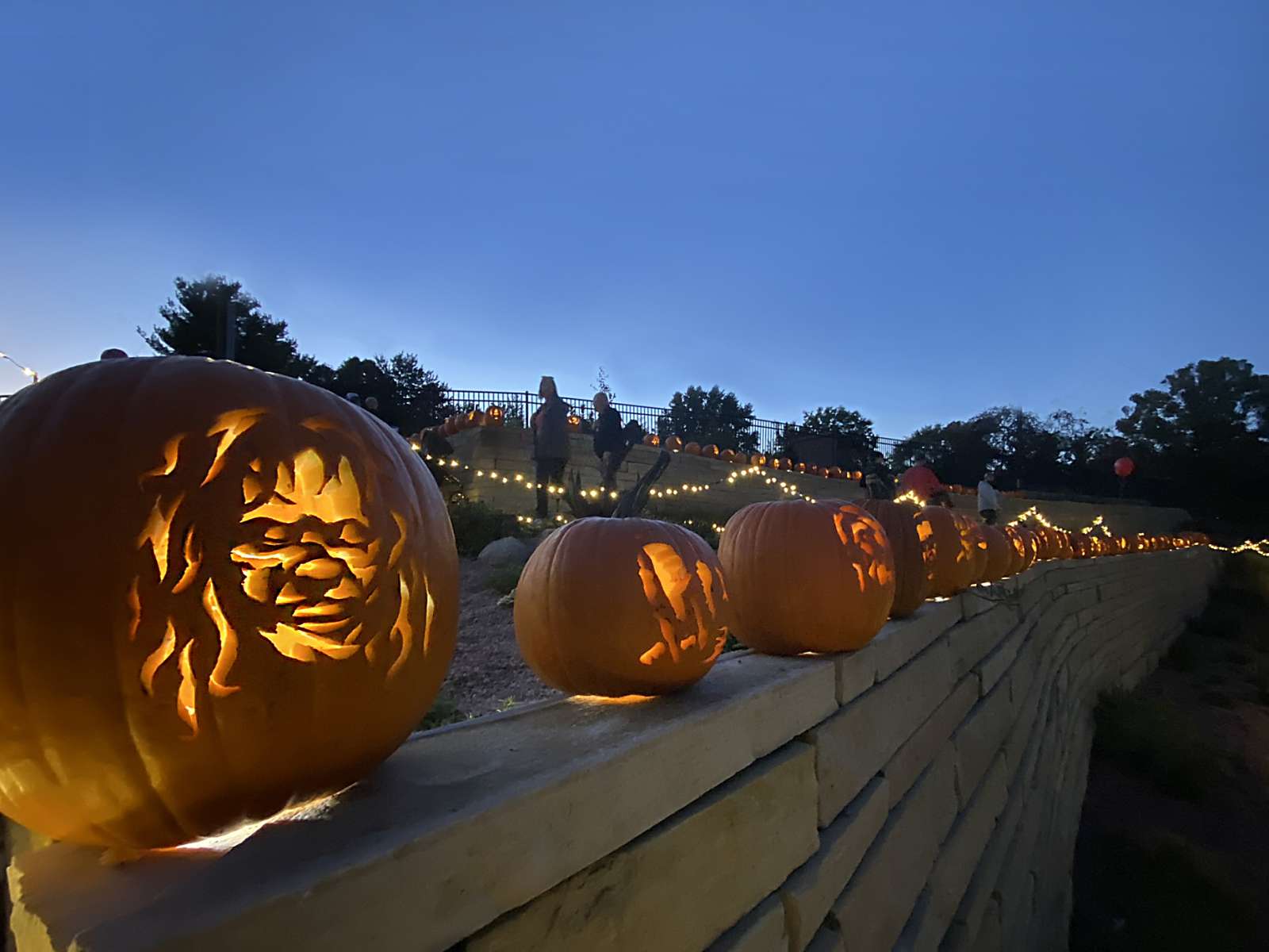 Jack-o-lanterns on a wall.