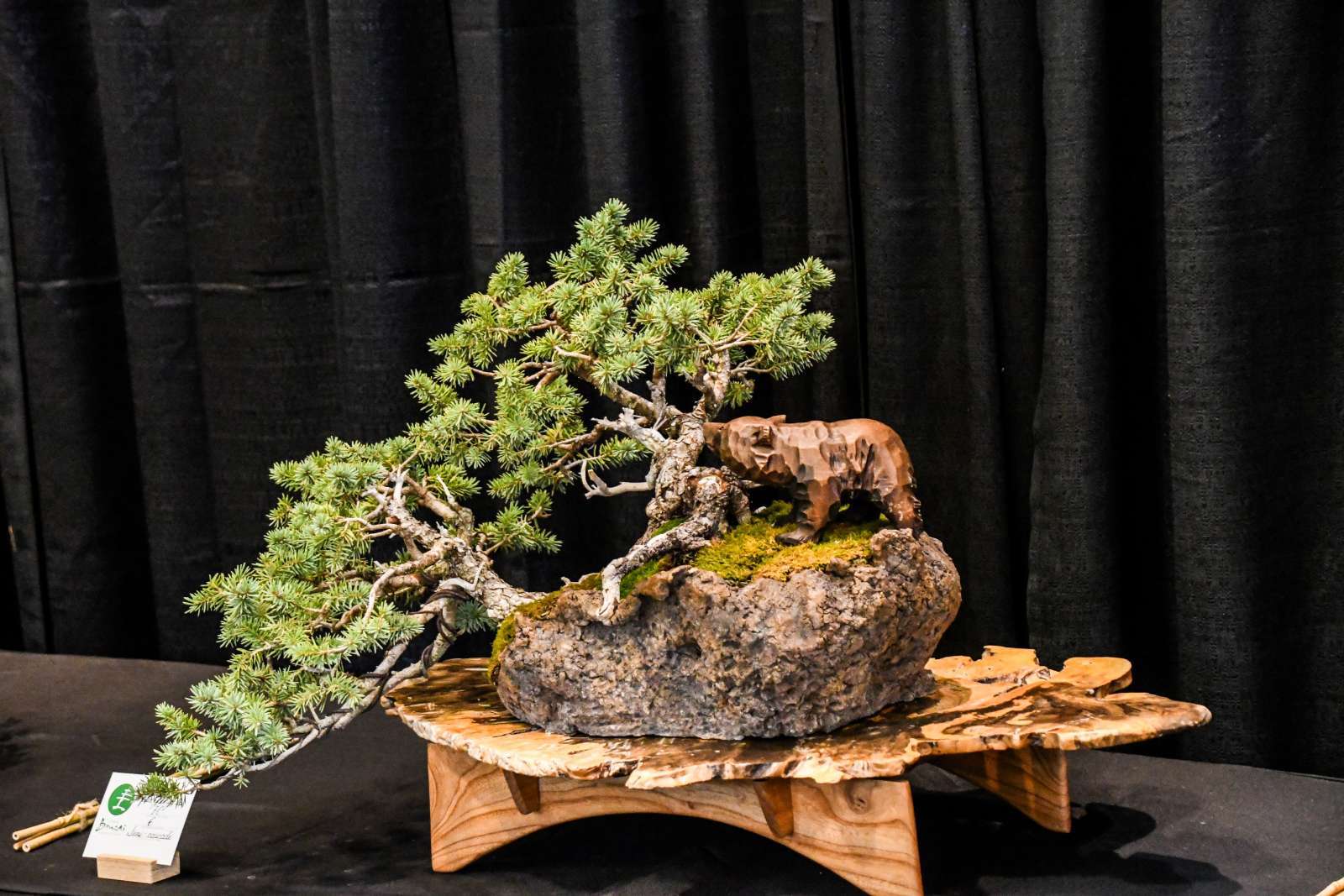 Bonsai at Reiman Gardens