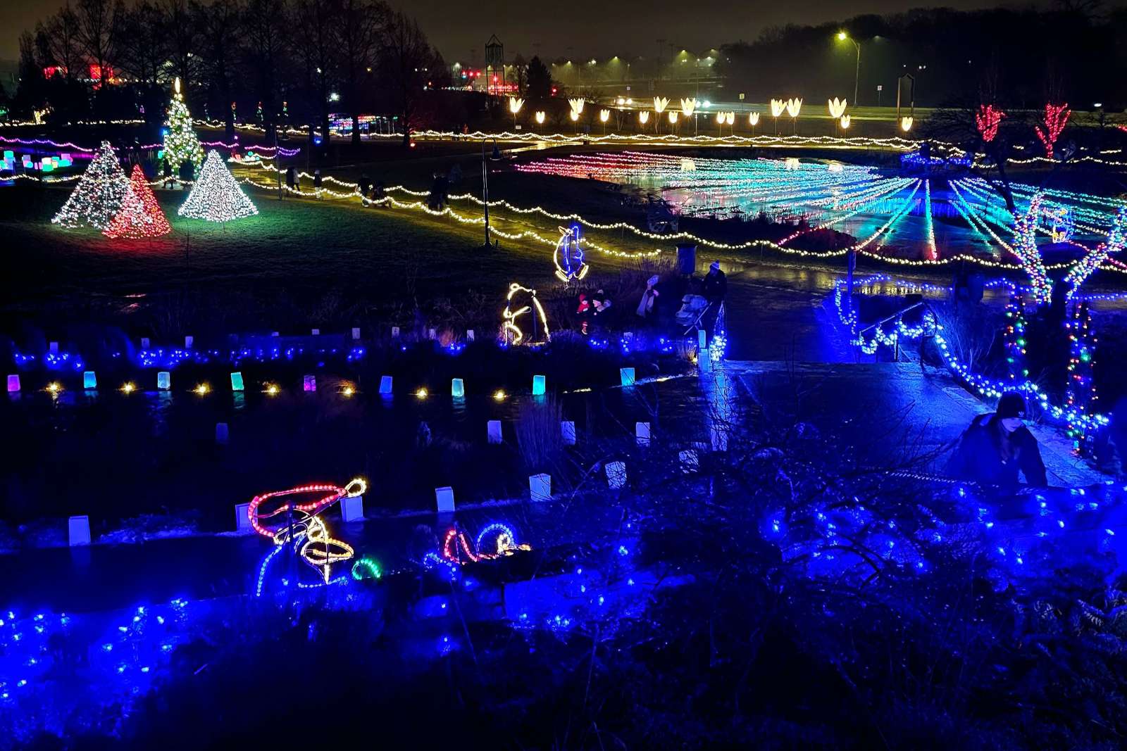 On a hill overlooking a garden holiday light show.